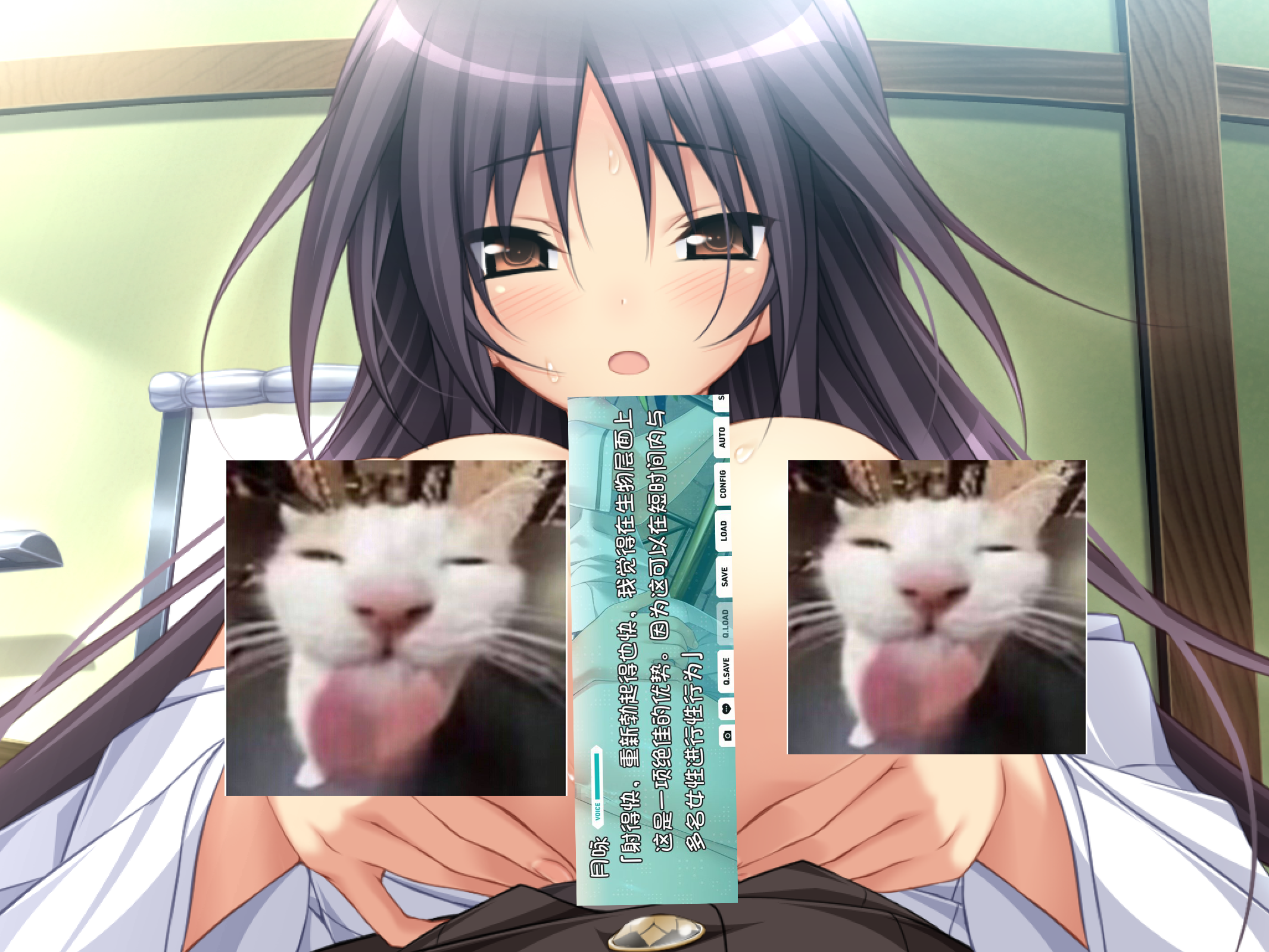 屏幕截图 2026_01_01 231205.png